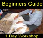 A fun and informative day for you and your best friend